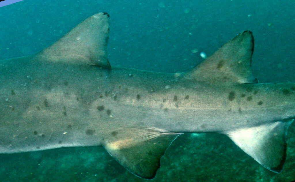 fa14114f-028b-497c-bfb0-642bc3bc9660