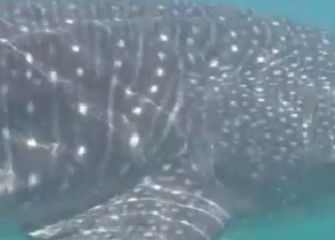 3752e5ff-e02d-4b56-be5d-df0dc1b794e8