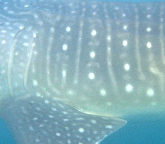 2f10490b-aa19-4b10-81d3-b1bf3ab5f9bc