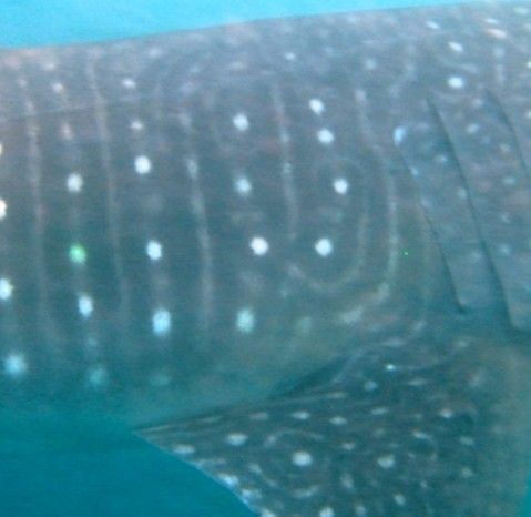 2f10490b-aa19-4b10-81d3-b1bf3ab5f9bc