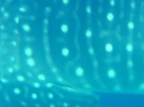 56294933-47a3-4467-bb39-611f2f931735