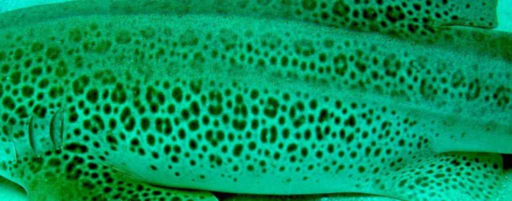 728cd3d4-a7b1-41fe-80dd-d08f3f8f770c