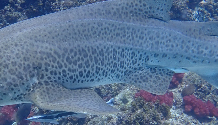 b60e7d30-42f9-4c08-a38c-7f8921560777