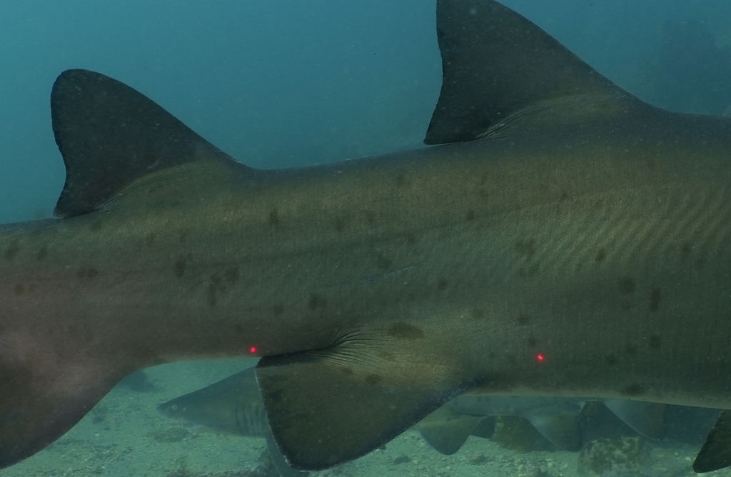 679d8bd7-4155-4381-aa4e-1cd80f7bfc52