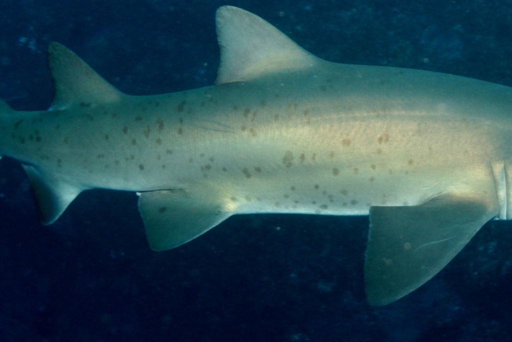 8db58cb3-0945-4dc1-a2a3-1cb3e06bf54d