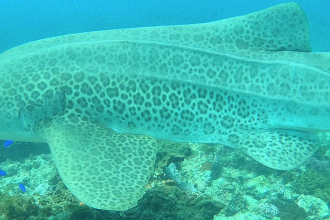 63a2f205-8804-4fcd-a2b2-41aa04b8f245