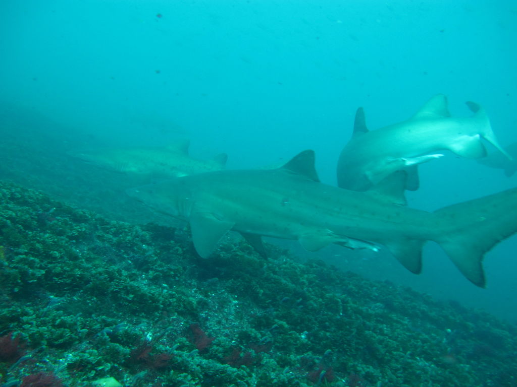 f214f6b5-88c6-4d88-8168-c9c9b857a6c4