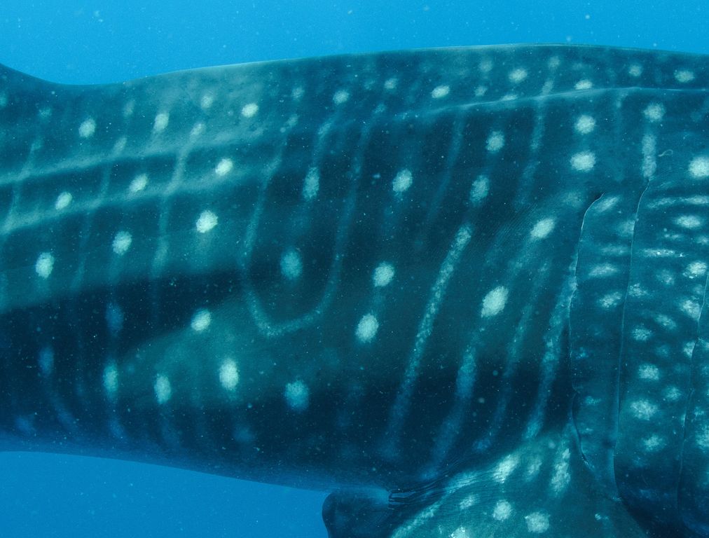 7a92bb16-7f62-4188-a27d-cee6f222fcd0