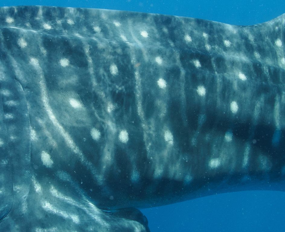 7a92bb16-7f62-4188-a27d-cee6f222fcd0