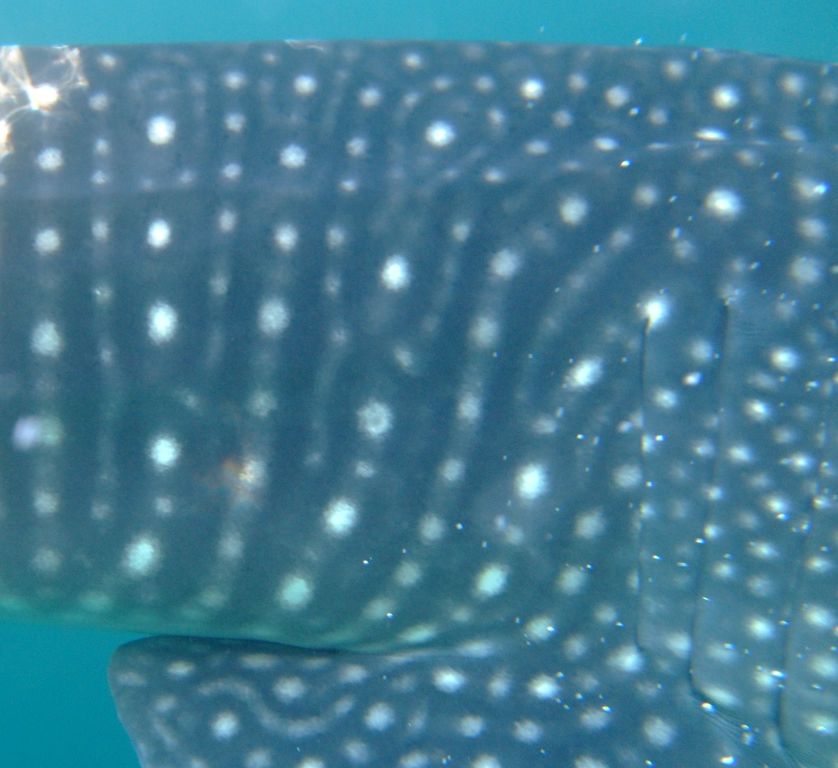 b3255545-65a2-4610-bef0-3db8f0e1b2e4