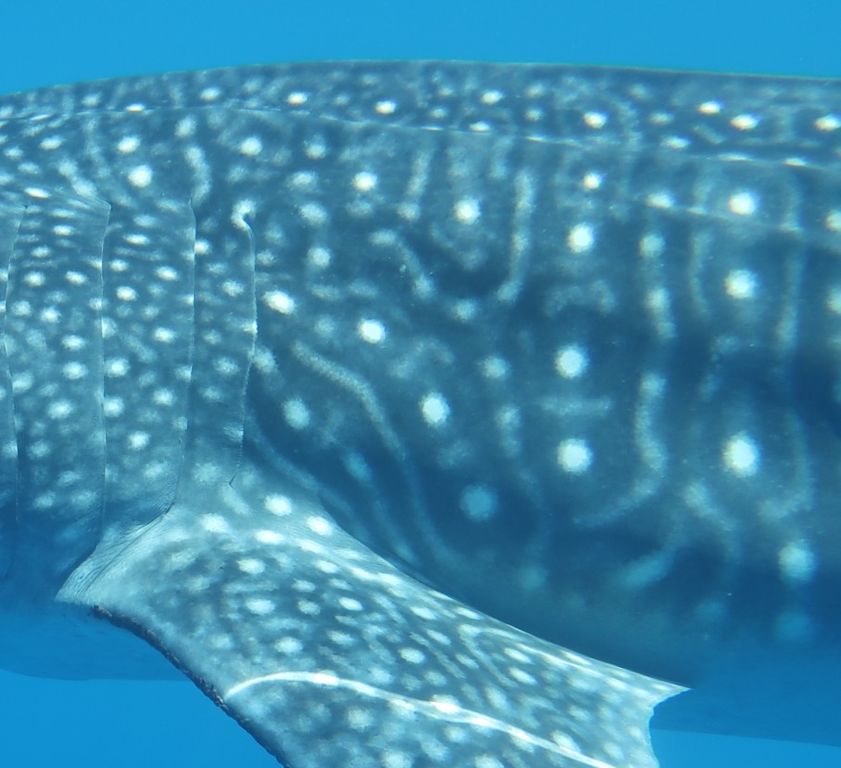 c6a23a57-5e07-4e9f-8fd0-5c0cb5e62f5f