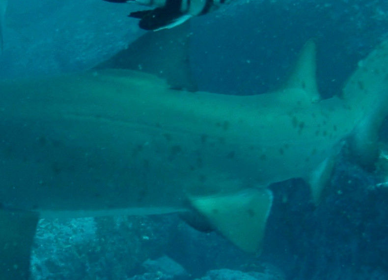 fc542d97-8cce-4cba-8c26-11c06ad7d9f6