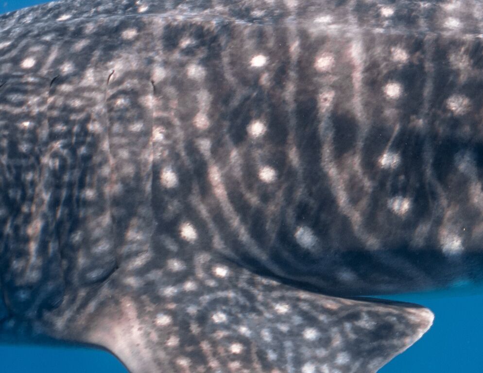 059c88d4-56d4-404e-a2eb-90083cbfa220