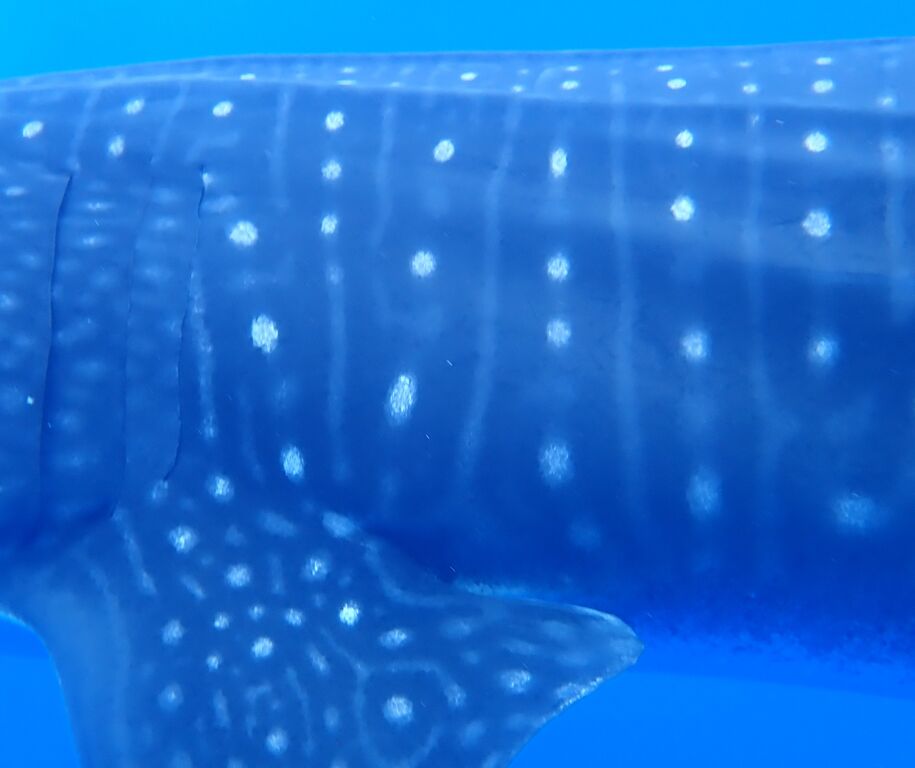 4fe0f113-7f2f-4e34-9d02-ece869443428