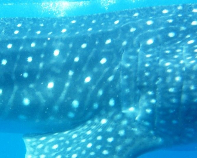 b88ef1a8-5cd9-480c-b194-dcf2188b6f2e