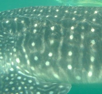 b37a36a8-9c14-43f3-83f9-a38f4bec6970