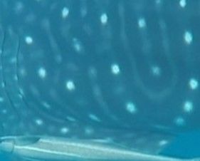 ca183f27-9e42-4e7f-8246-a064fe7b915b