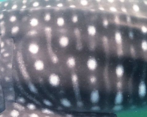 9b044b80-61c9-435f-a8a5-26ee35ef5665