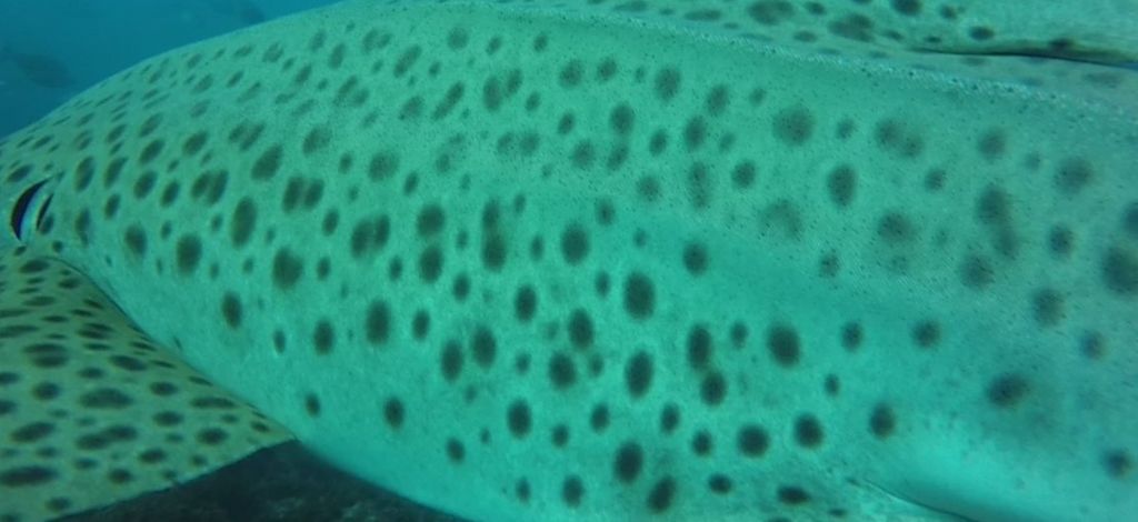 5b588ca3-a153-46fa-a98d-88bba62635ea