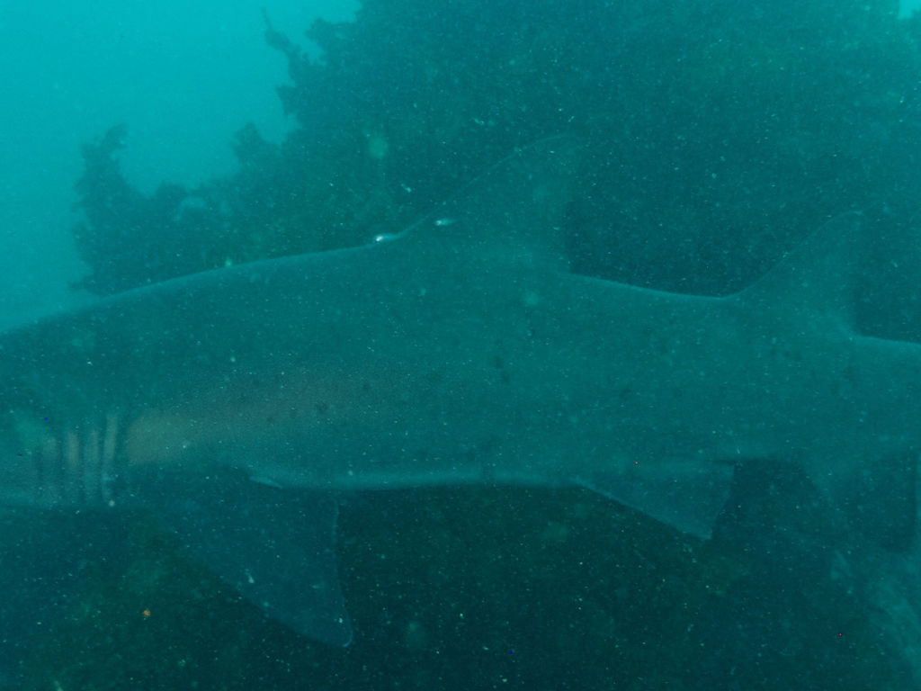 5b51f378-78a1-487f-8c6a-300b60885402