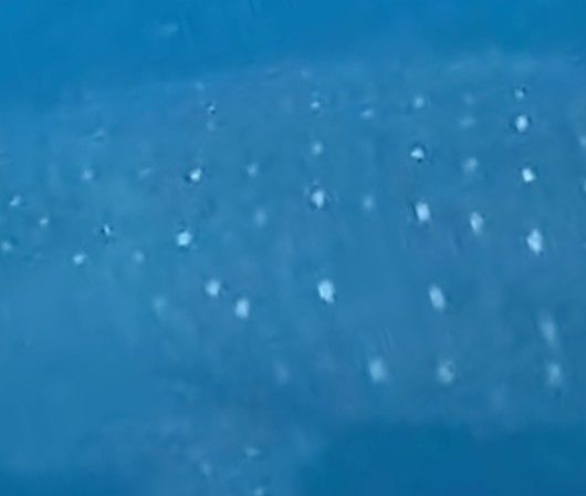 f4b51e0a-89e2-4a73-a4f7-223a06791df0