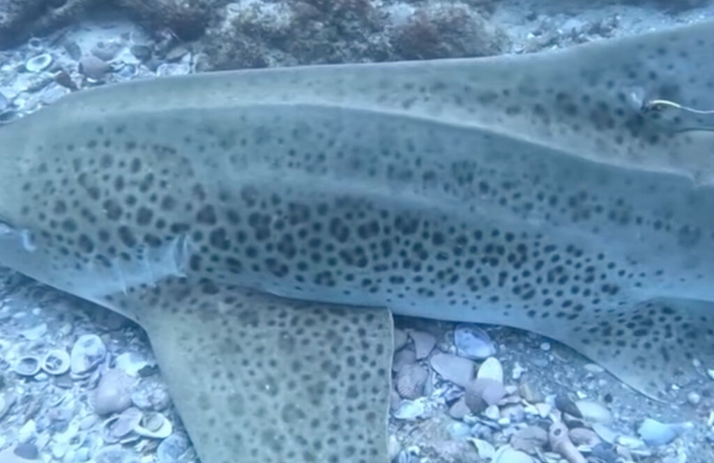 cc10e007-24ae-4580-8a54-80c3a5da1594