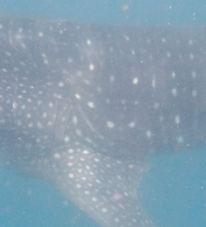 07b7975b-7bb2-48af-8eb6-e47bd445a6b4