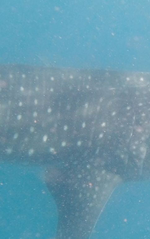 07b7975b-7bb2-48af-8eb6-e47bd445a6b4