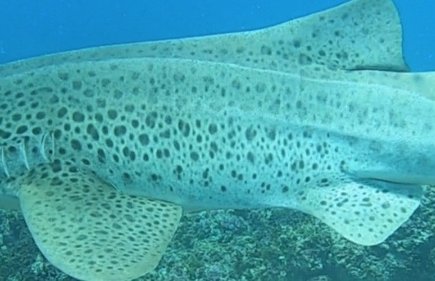 84bc55d0-b71f-4201-914f-e5893449a51e