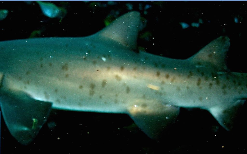 f7083239-d847-4fbf-a663-384909549df8