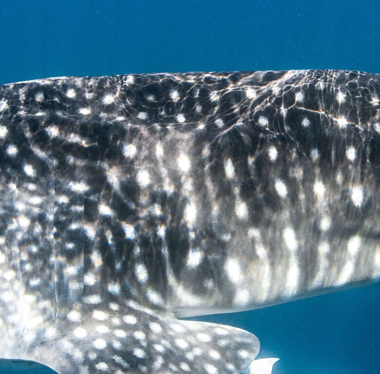 0128fcbb-d331-4cf6-92c0-89ef0564962f