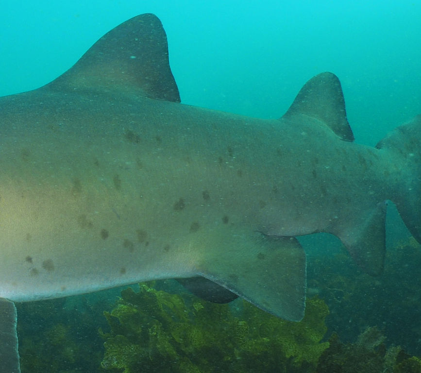 f52bab40-9978-4732-8360-43c0b16a9437