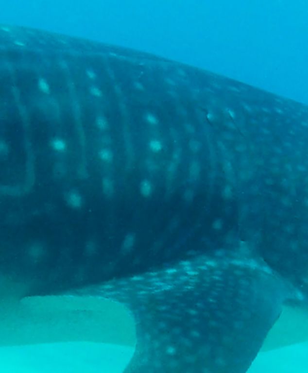 deb0d1aa-e6cc-4adb-8815-ca20b4c3ffcf