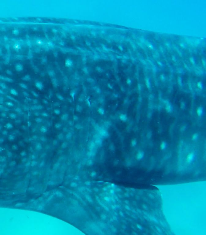 deb0d1aa-e6cc-4adb-8815-ca20b4c3ffcf