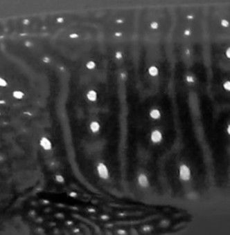 540fbbc4-004c-46f6-a651-ebc4d98467e9