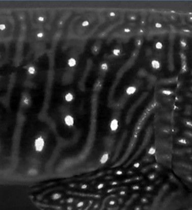 540fbbc4-004c-46f6-a651-ebc4d98467e9