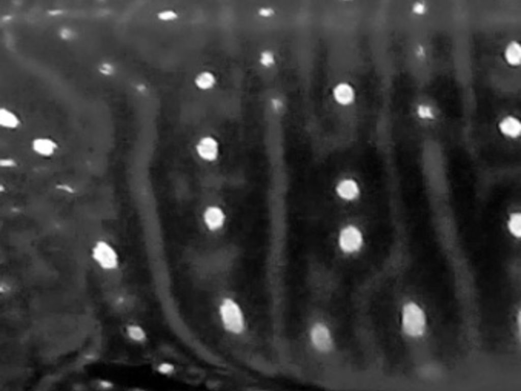 540fbbc4-004c-46f6-a651-ebc4d98467e9