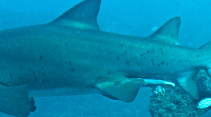 4e313586-b873-485c-b05d-66942e8c1149