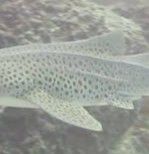 5be01baf-acc4-45db-895e-24969b656198