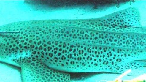 6da14e8f-d926-487c-afae-936e8b271389