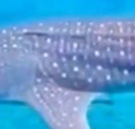 f9f3ffd0-ea9b-4002-8c83-c97297b89db9