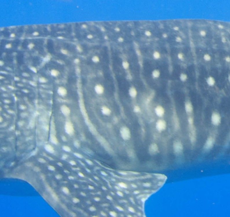 3ee46842-7129-4c2d-b31b-3fe962e2ddf7