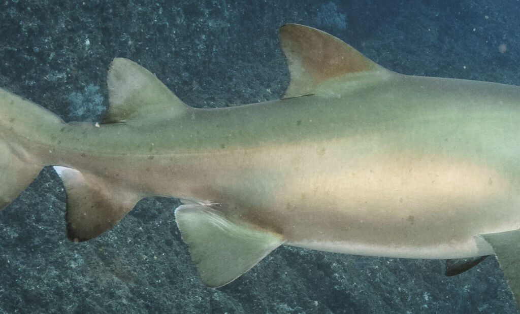 f7f04bb8-f635-4b22-b124-7df19654ddd7