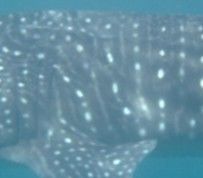 a2edff80-2f89-4ec2-8813-0981d6c59116