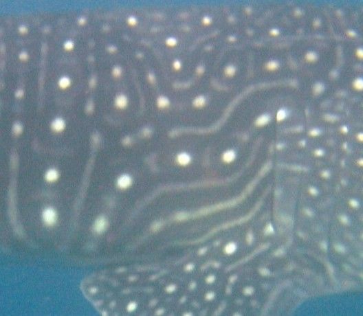 d96f37d3-03e8-4aa5-b38e-201cc46df6b1