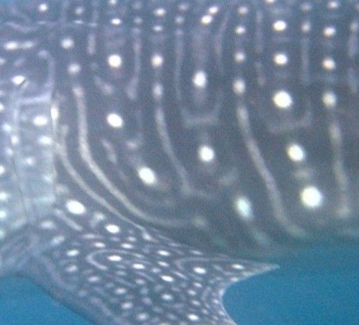 d96f37d3-03e8-4aa5-b38e-201cc46df6b1