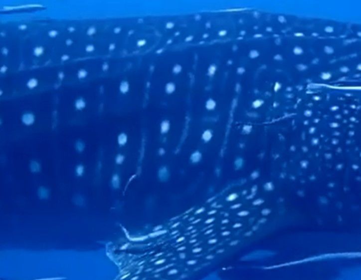 dee28ab0-f64a-4134-9585-501b760c7560