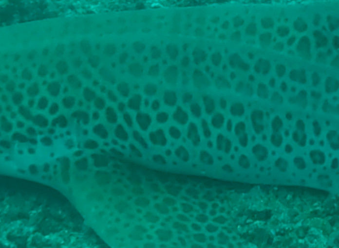 6765fb7d-3930-423a-9fb7-0c69e1caf53c