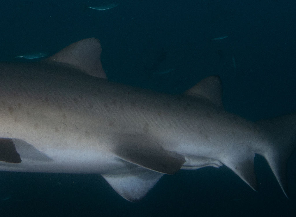 722d406b-4320-4242-9807-da1cf5468e95