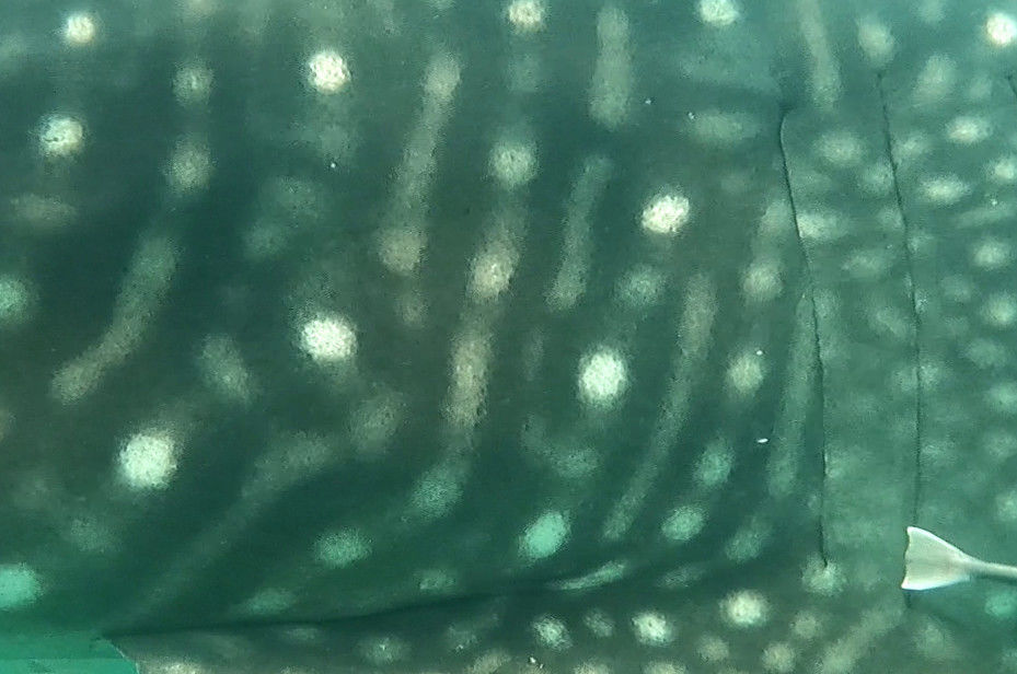 0fd90745-b9fe-4265-8a6e-57a212a24610